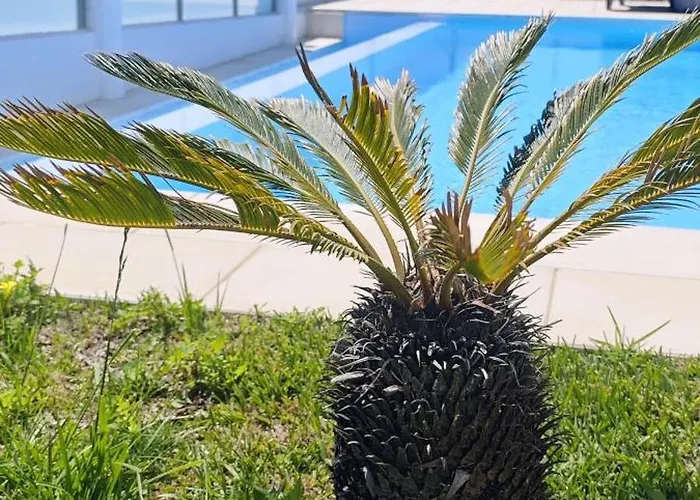 -oceonview With Pool And Whirlpool * إيريسييرا