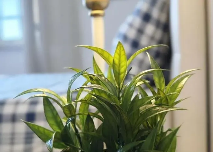 -oceonview With Pool And Whirlpool فيلة *