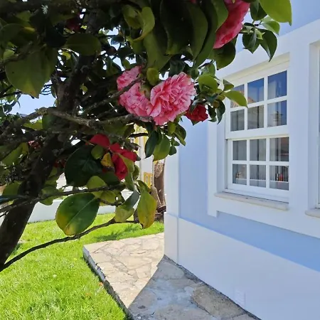 Willa -oceonview With Pool And Whirlpool Ericeira