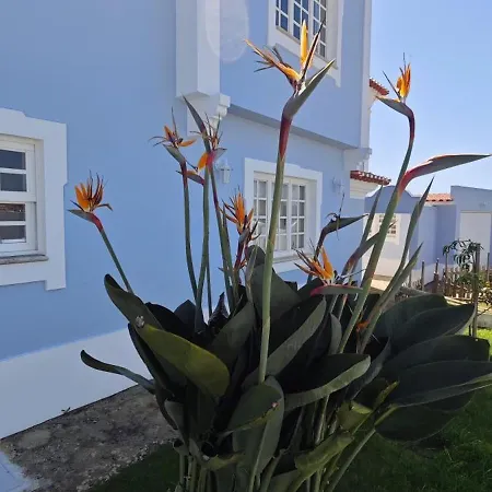 Ericeira -oceonview With Pool And Whirlpool *