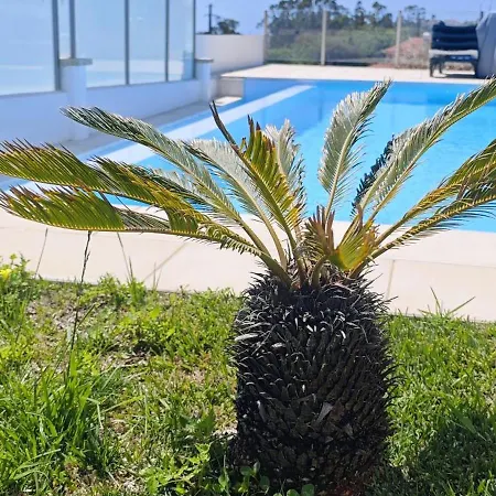 -oceonview With Pool And Whirlpool * Эрисейра