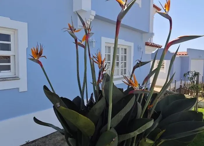 -oceonview With Pool And Whirlpool *